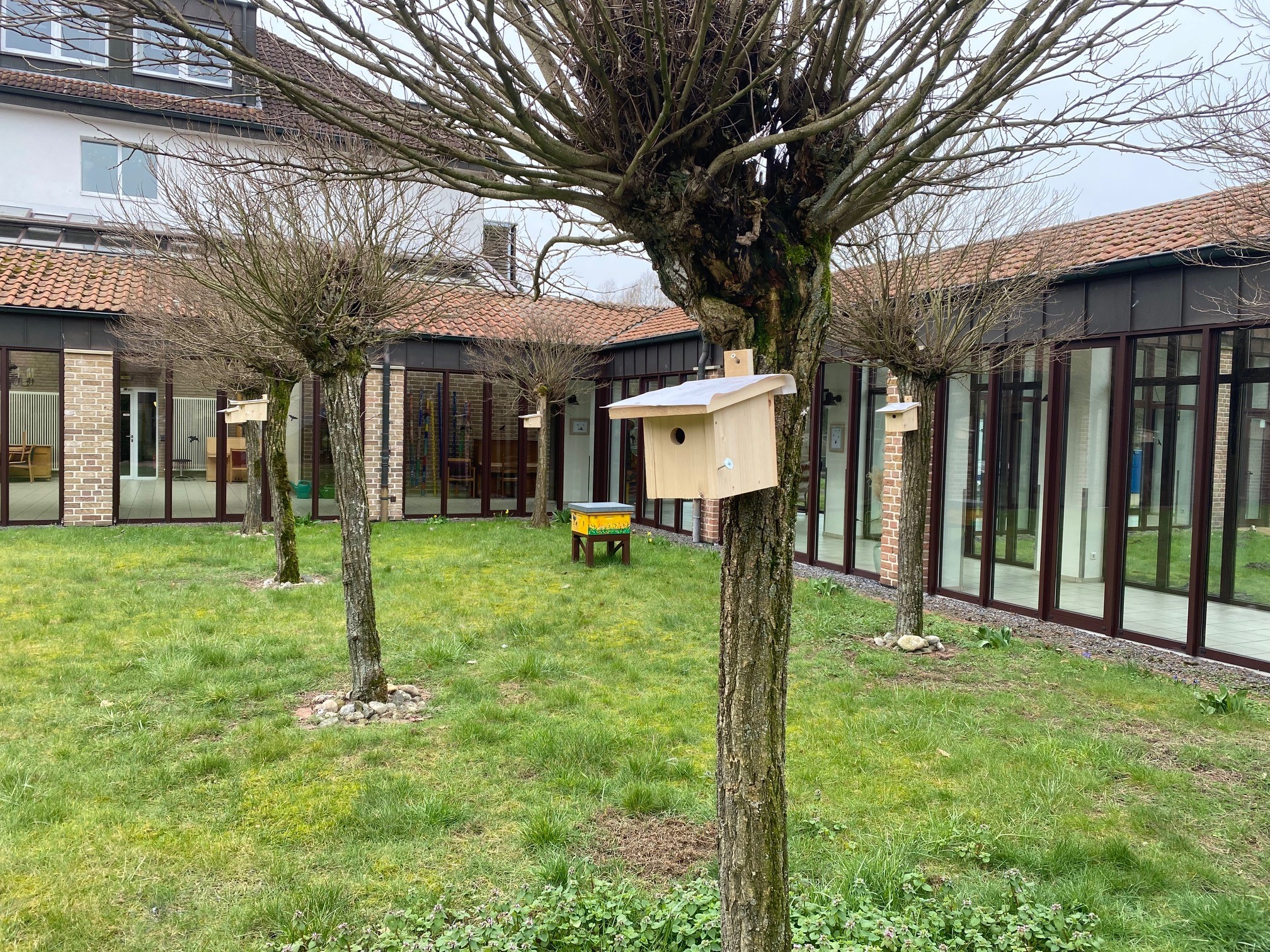 Nistkästen bieten Platz für Vögel